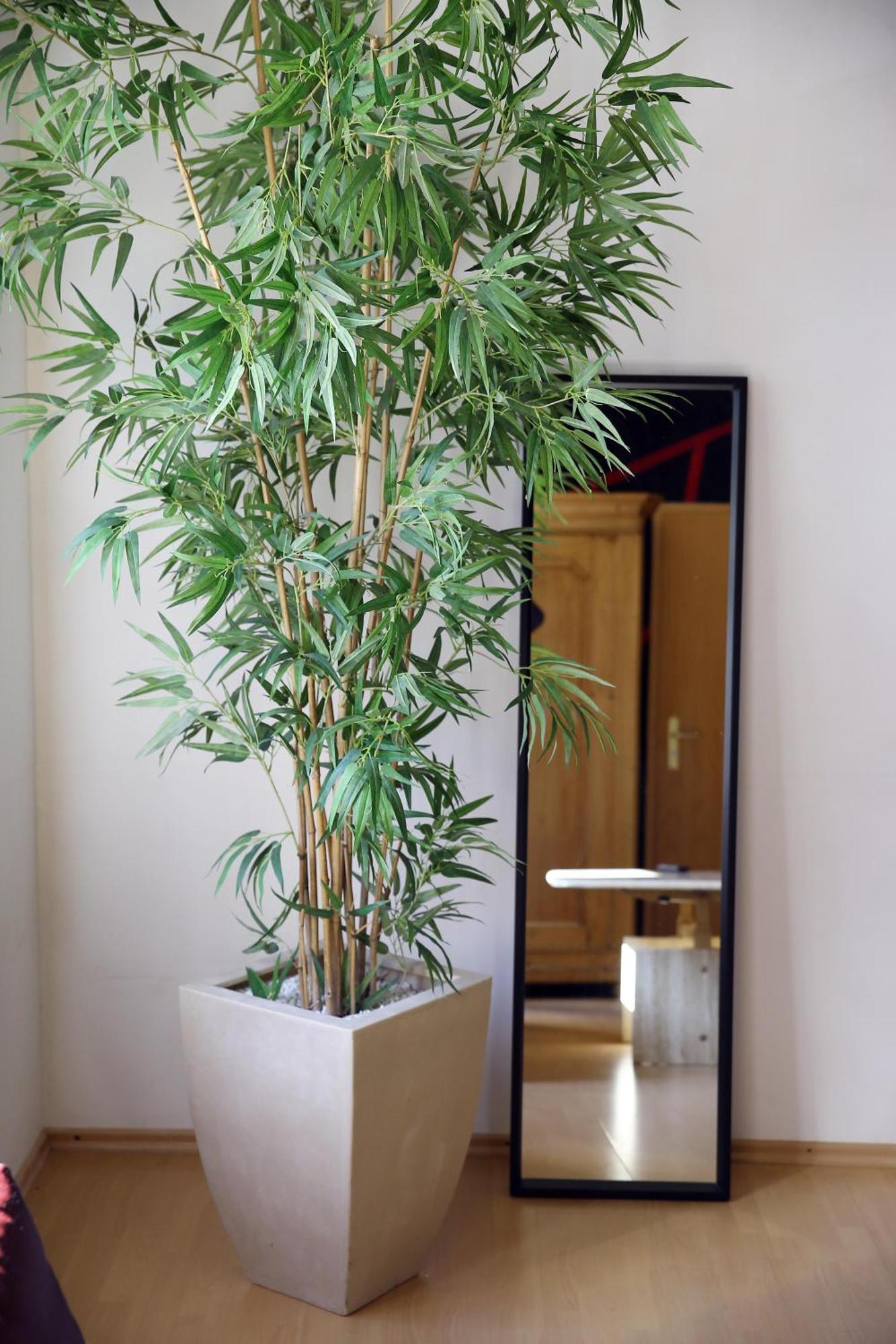 35qm 4 Personen Zentral! Kino! Kueche! Wallbox! Raeder, Eg Apartment